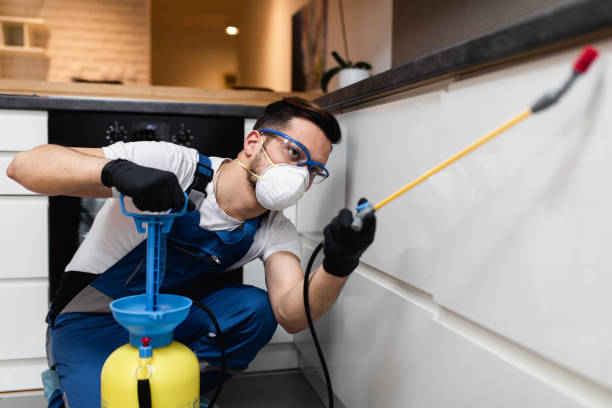 Best Best Pest Control Companies  in South Apopka, FL